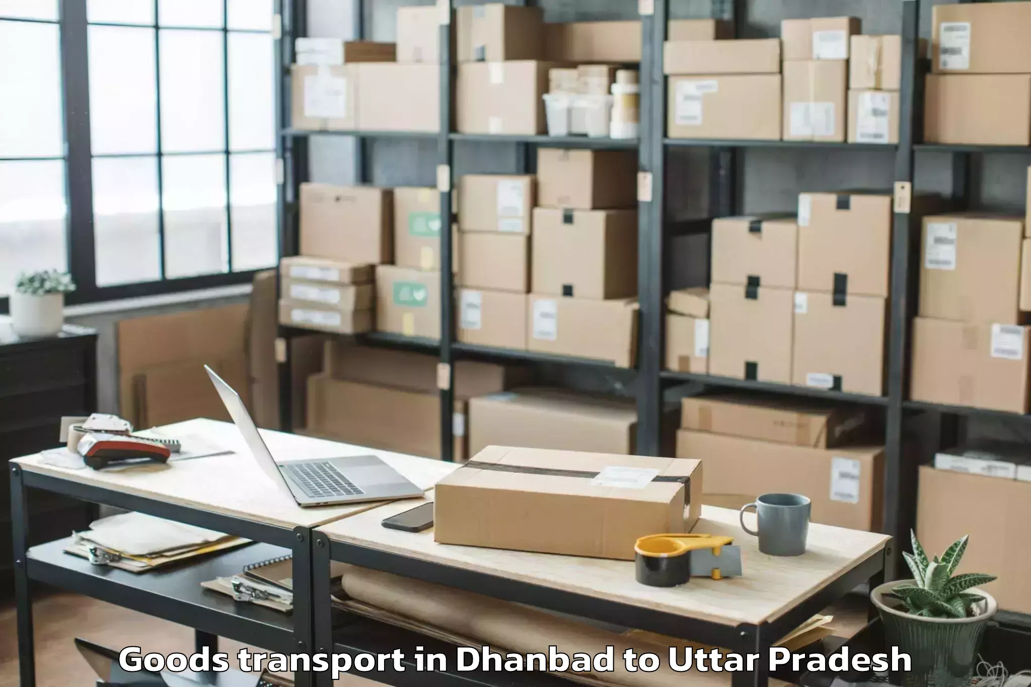 Top Dhanbad to Sanskriti University Mathura Goods Transport Available